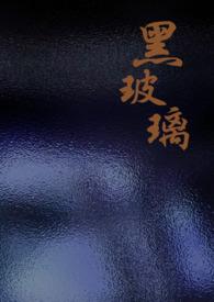 黑玻璃价格及图片