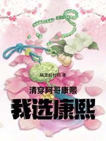 清穿康熙小阿哥