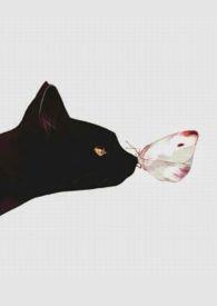 人间好时节处暑