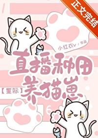 种田直播间