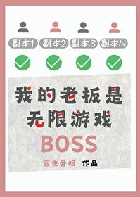 我的老板是les