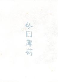 冬日薄荷TXT免费阅读