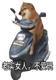 老实女人不爱