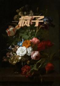 疯子傻子歌曲叫什么