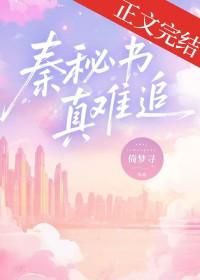 秦谜全文免费阅读