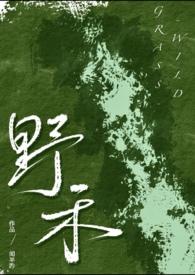 伪兄妹推荐完结