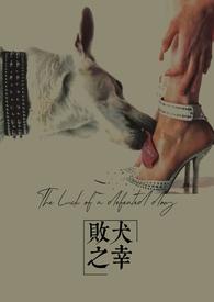 败犬
