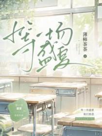 等一场盛夏免费全文观看