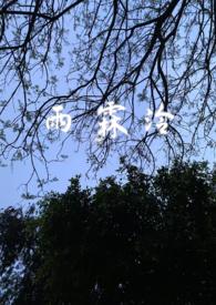 女主叫雨霖婞的