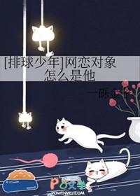 排球少年有恋爱吗