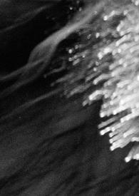 黑夜的玛丽亚在线观看