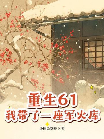 我带了一座军火库全文