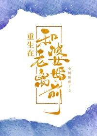 重生在和老婆离婚前txt