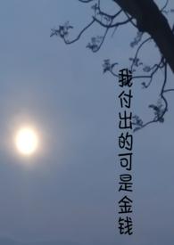 我付出的可是金钱免费阅读