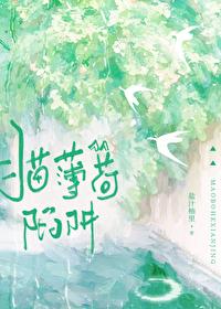 猫薄荷陷阱笔趣阁