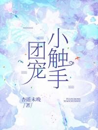 团宠完结