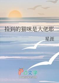捡个猫咪