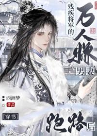残疾将军 妾