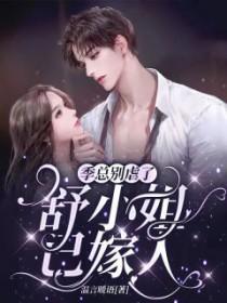 季总虐了舒小姐全集短剧
