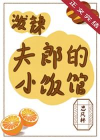 泼辣夫郎的小饭馆番外篇