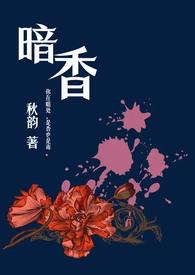 暗香(舅甥)大结局