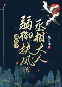 朕那个弱柳扶风的丞相大人谁是攻