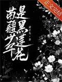 苗疆少年是黑莲花TXT番外