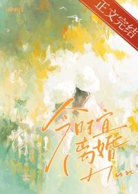 北途川今日不宜离婚