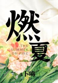 燃夏by卜鸣免费阅读