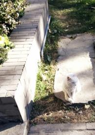 媚欢by宋和景免费阅读