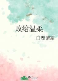 败给温柔晋江
