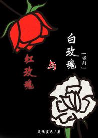红玫瑰与白玫瑰电影国语