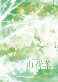 山荷叶花别称