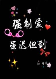 强制爱什么意思?