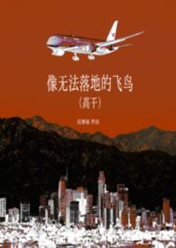 像无法落地的飞鸟by迟