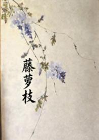 藤萝枝作者JUE全文