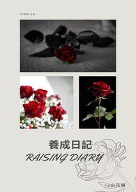 养成记游戏入囗