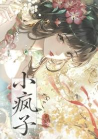 小疯子完整版