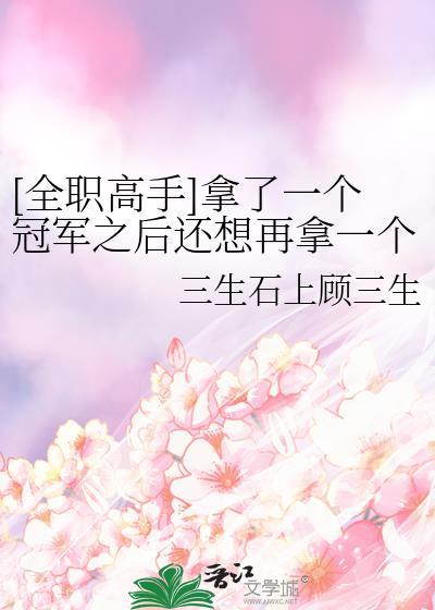 全职高手个赛季冠军