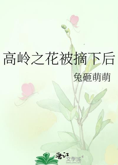 高岭之花被摘下后免费阅读免费阅读