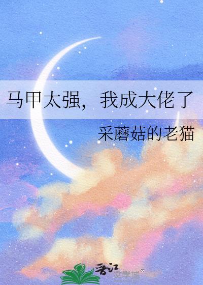 马甲大佬文