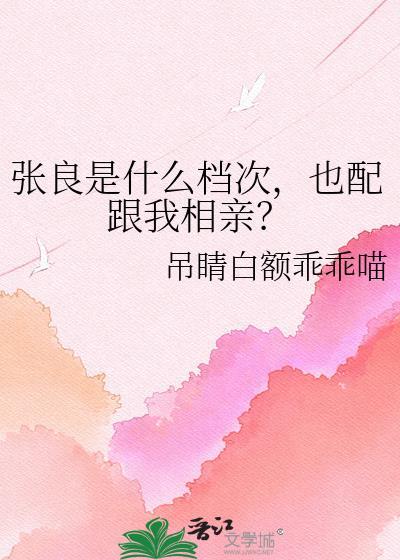 张良属于哪家