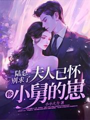 分手六年贺律师结局