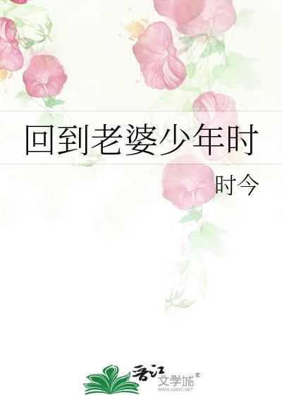 回到老婆少年时作者南和禾一