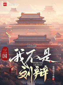 主角是刘辩的三国