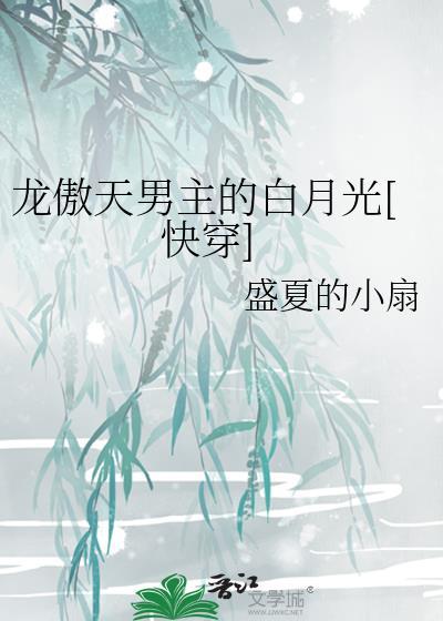 龙傲天男主是个omega