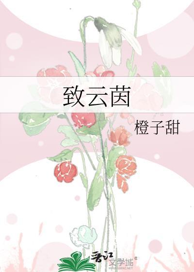 致云茵TXT盘资源