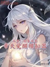 帝天觉醒模拟器txt