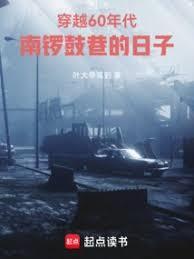 穿越60年代南锣鼓巷的日子作者叶大爷驾到