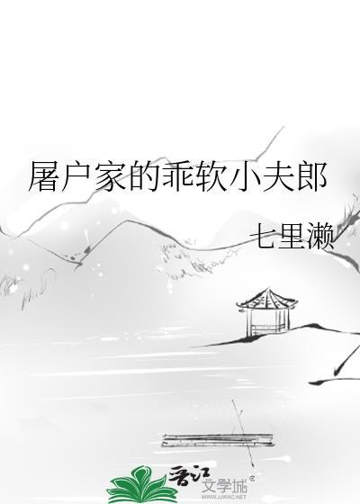 屠户家的小夫郎txt